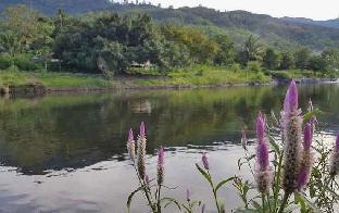 lan saka
