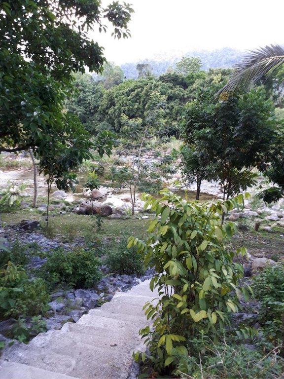 lan saka