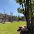 taamjai resort