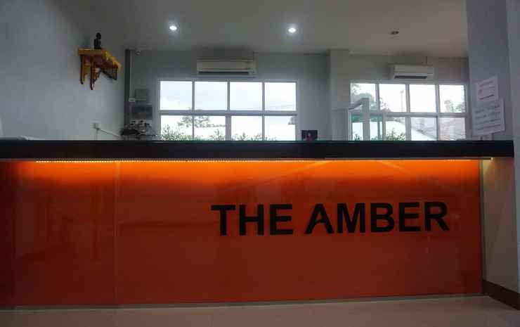 the amber mansion