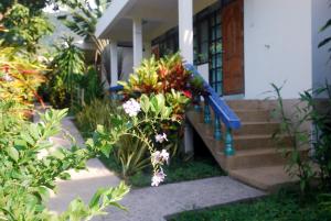 sea sun bungalows