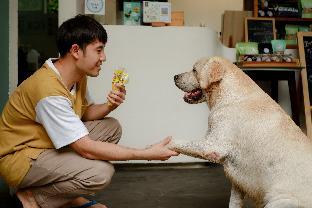 bannaimong treehouse