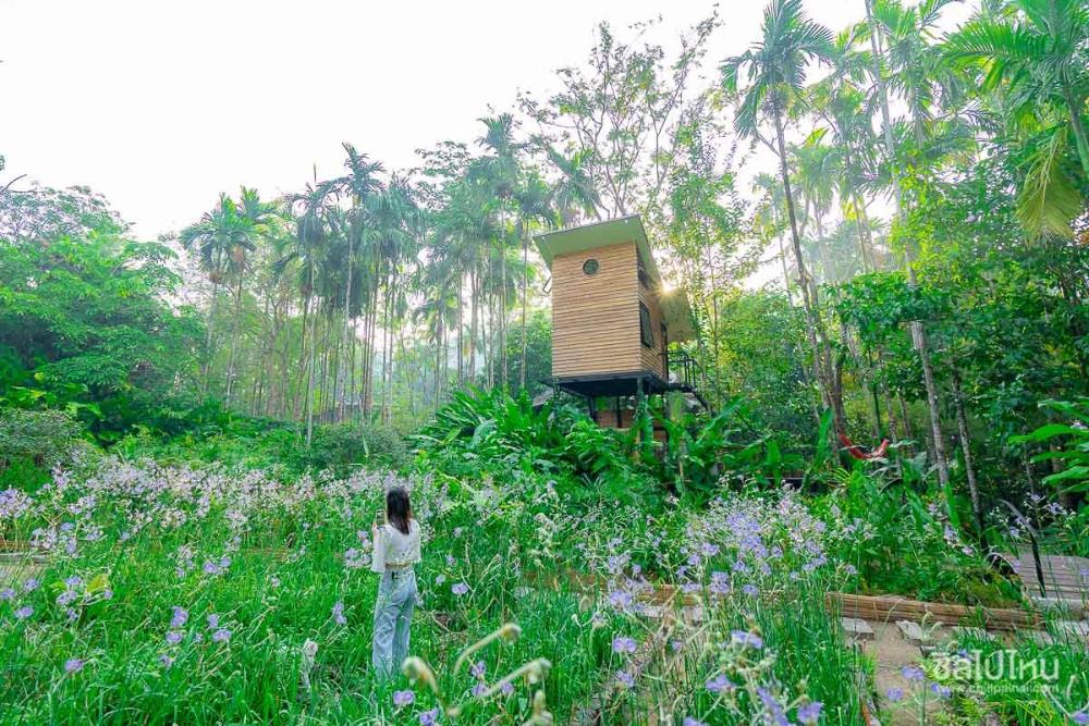 bannaimong treehouse