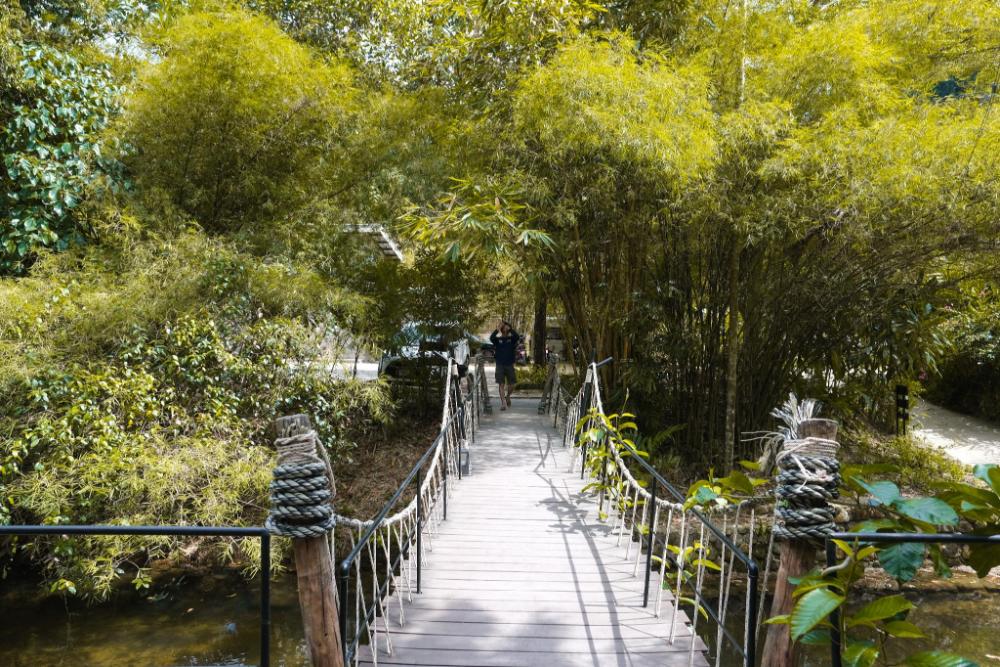 bannaimong treehouse