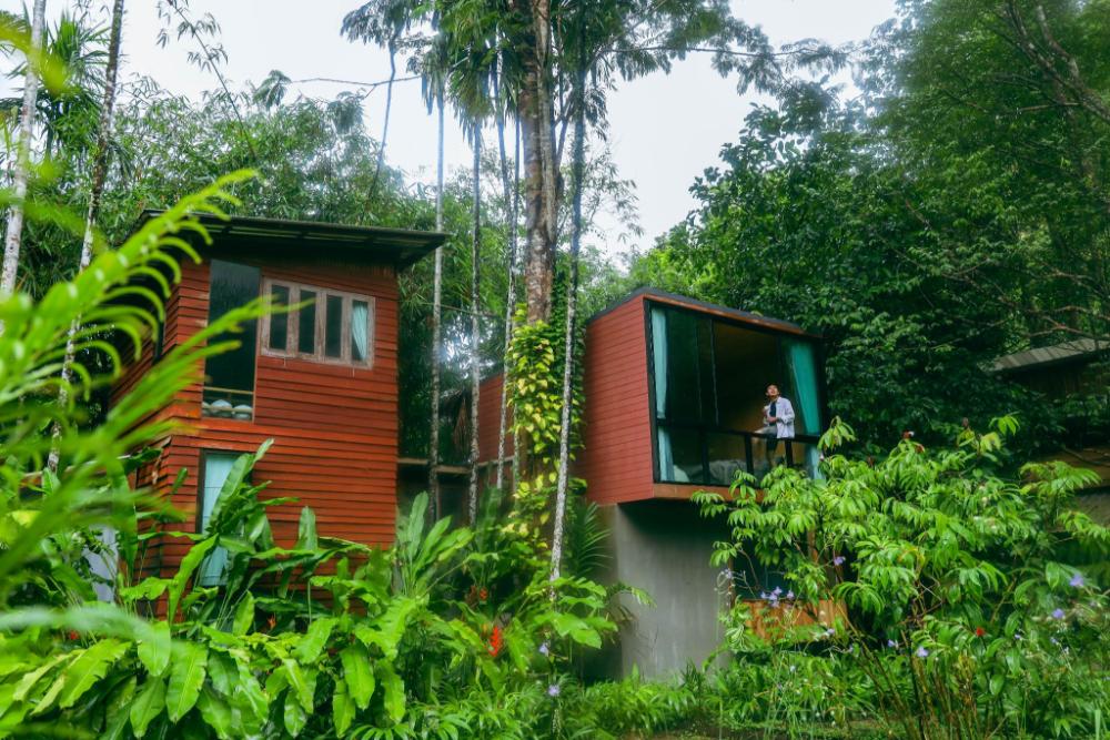 bannaimong treehouse
