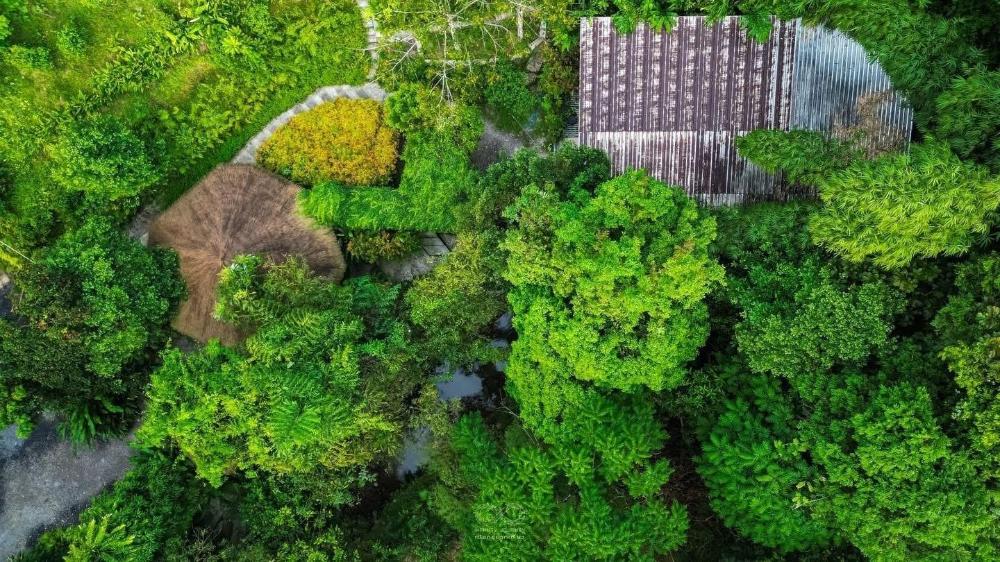 bannaimong treehouse