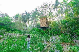 bannaimong treehouse