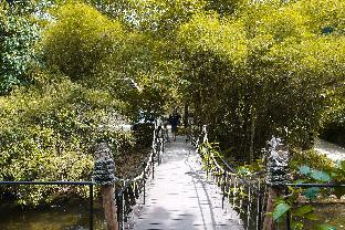 bannaimong treehouse