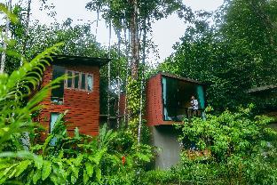 bannaimong treehouse
