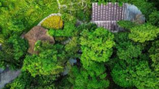 bannaimong treehouse