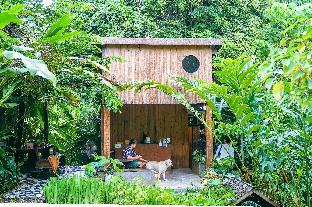 bannaimong treehouse