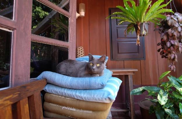 baan esan country house