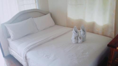 sampaongern homestay