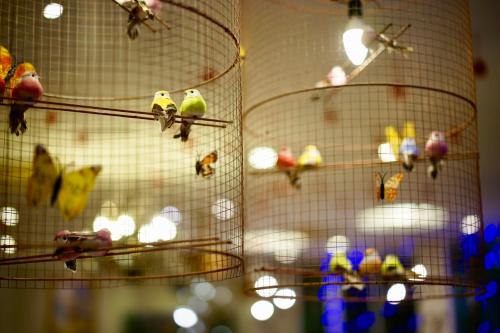 caza v1 serviced apartment