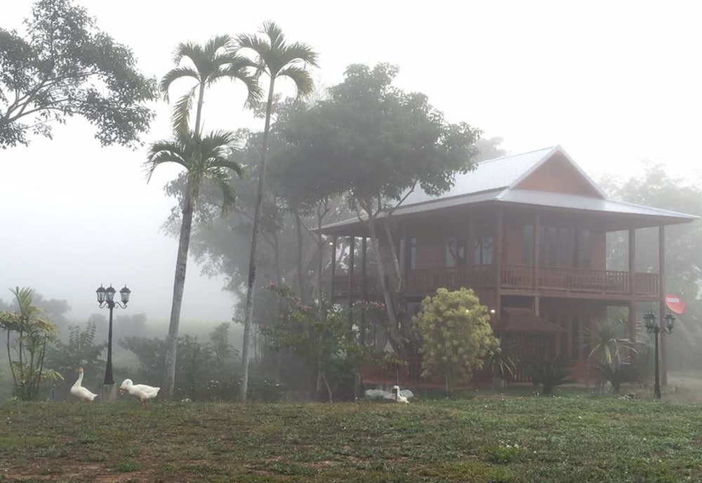 ban suan tawan chiang dao