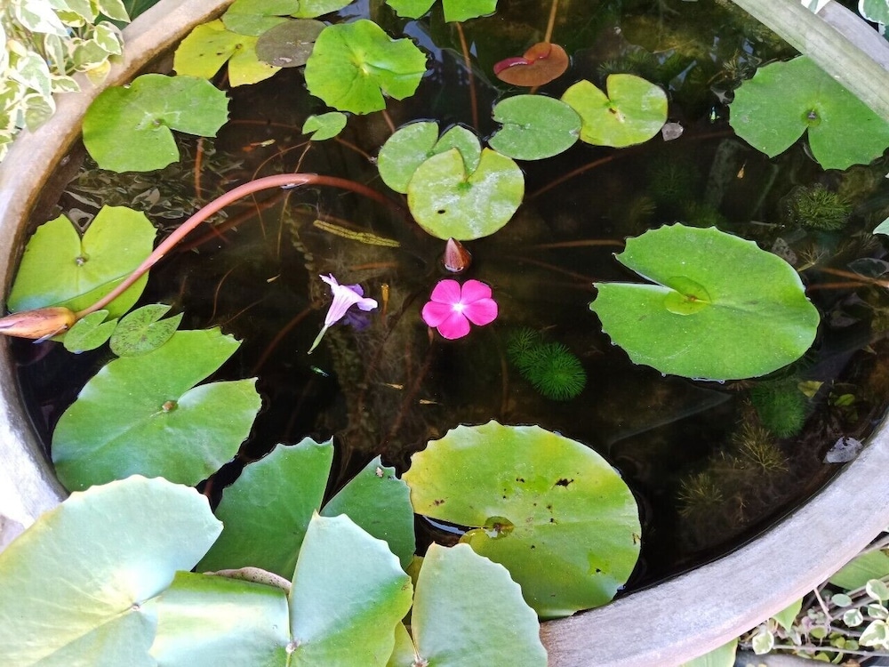 a lanna boutique house