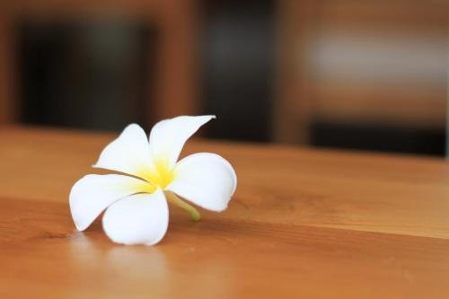 keang kluen talay resort