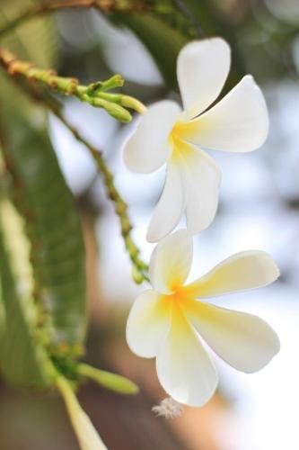 keang kluen talay resort