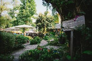 suan tung coffee