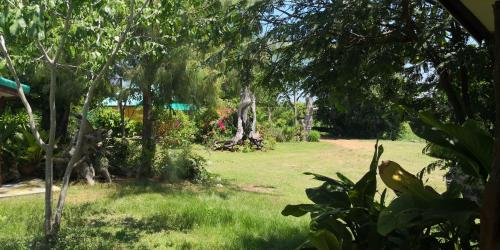 pumaka resort