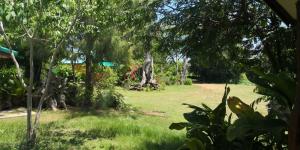 pumaka resort
