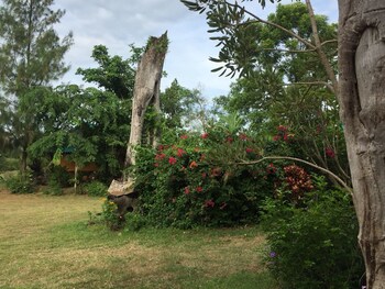 pumaka resort