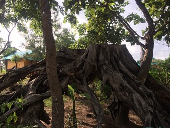 pumaka resort