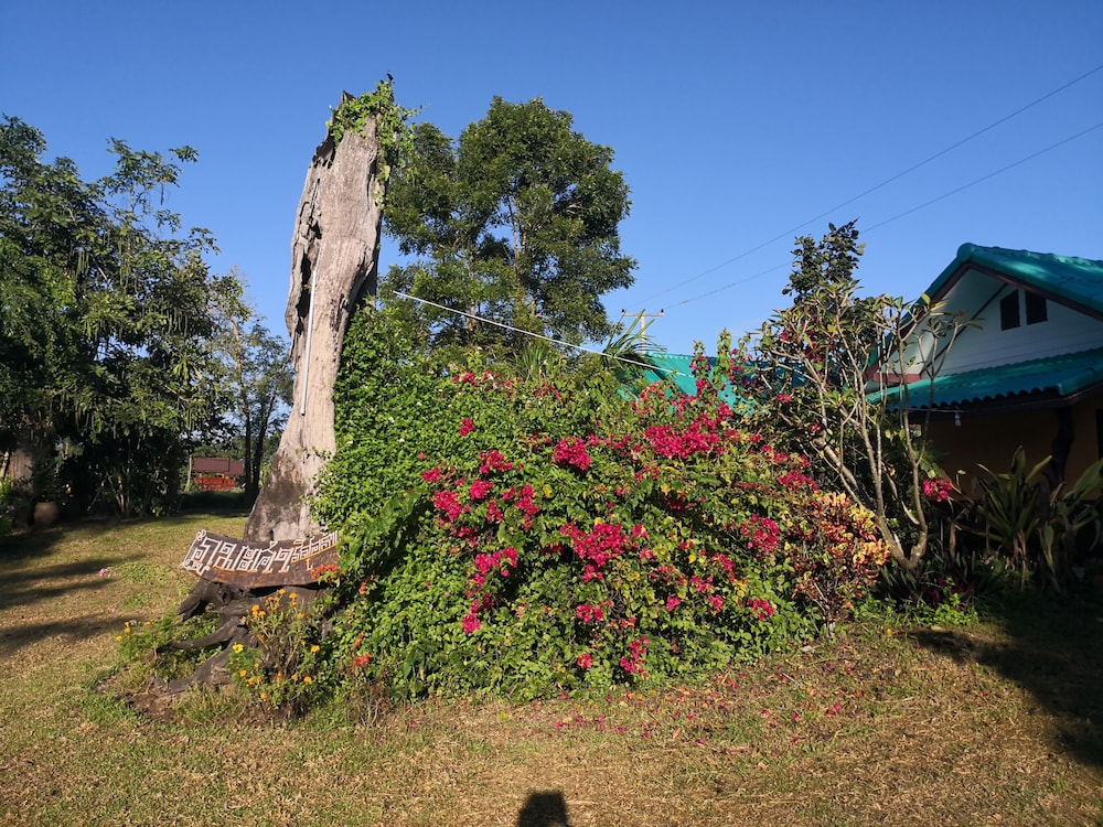 pumaka resort