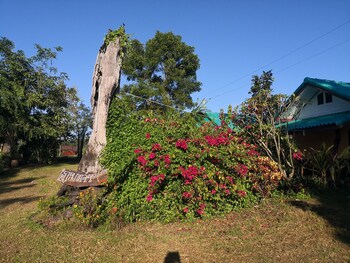 pumaka resort