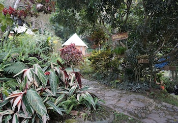 phu mok camp
