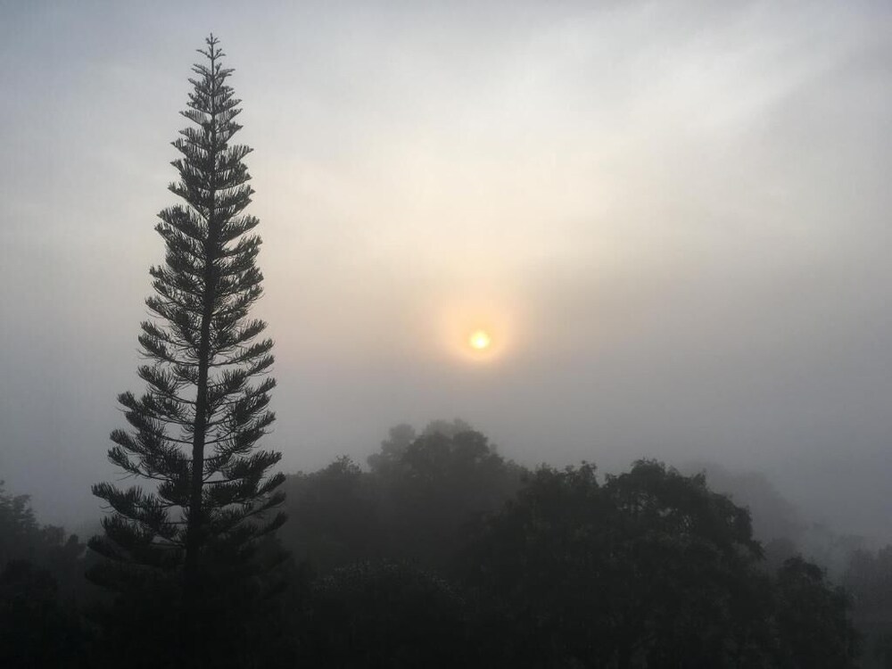 forest hill1 khao kho