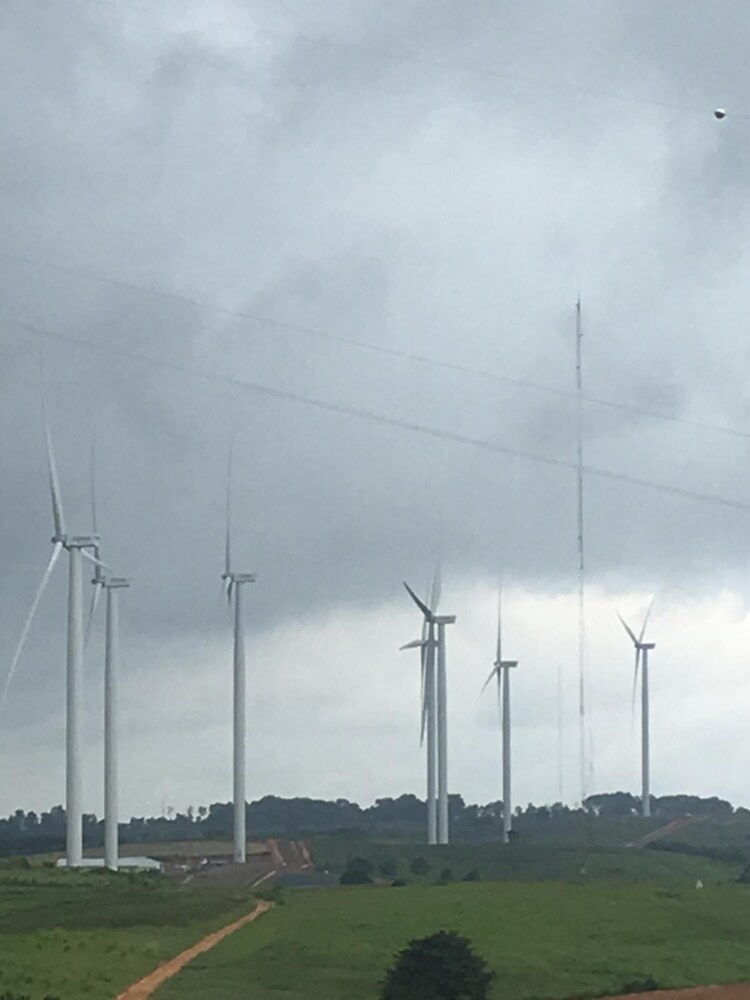 forest hill1 khao kho