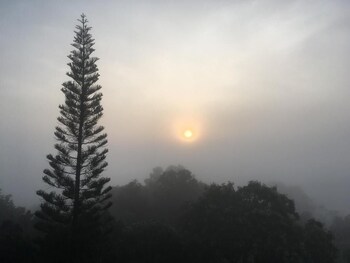 forest hill1 khao kho