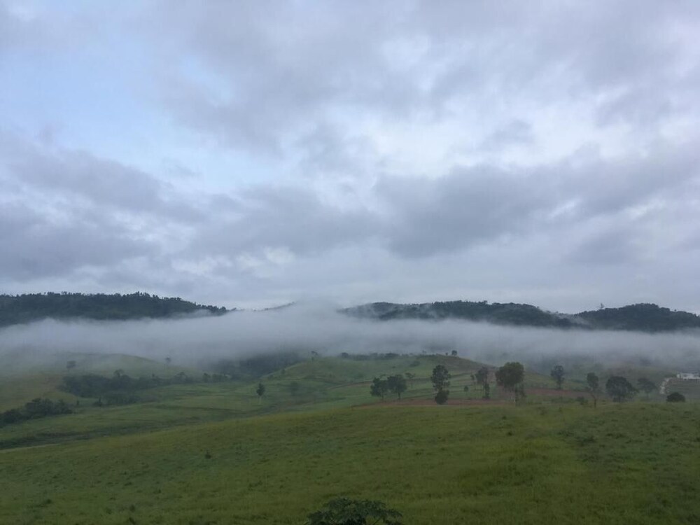 forest hill1 khao kho