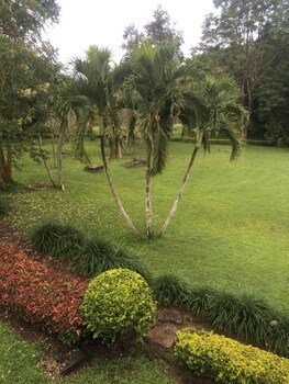 forest hill1 khao kho