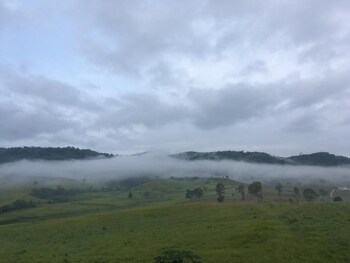 forest hill1 khao kho