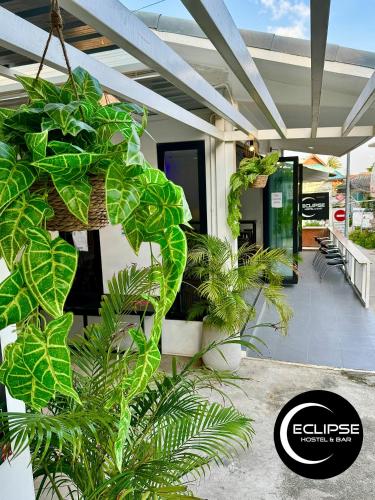 eclipse hostel and bar