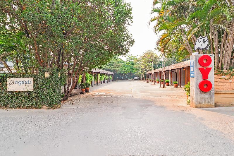 ngeeb bed and breakfast