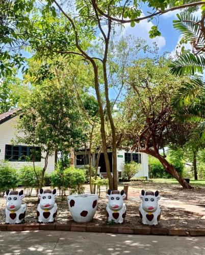 aura park resort