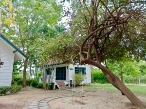 aura park resort