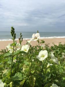 Bayview Resort,Rayong Province>>Rayong,3 star