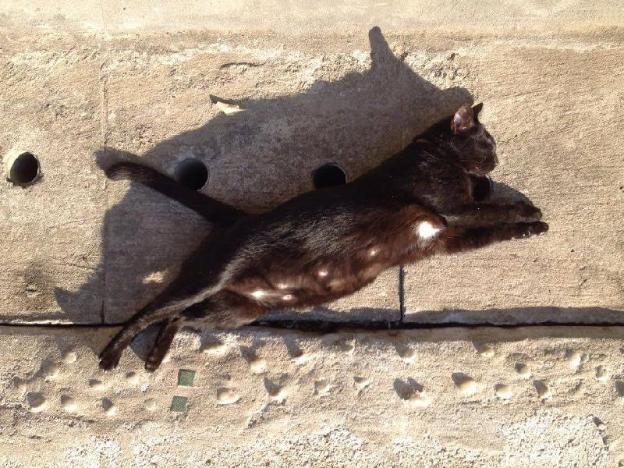 baan chankhiang at chiangkhan