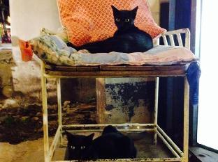 baan chankhiang at chiangkhan