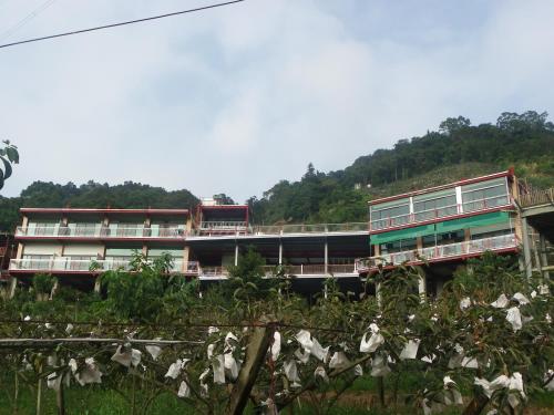 king villa