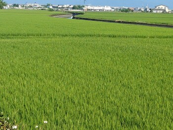 shui lian tian villa