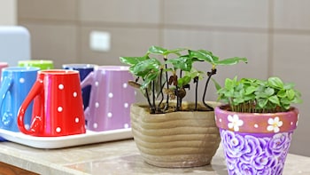 yuan bed and breakfast