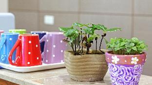 yuan bed and breakfast