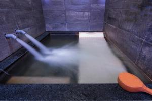 ho young hotspring hotel