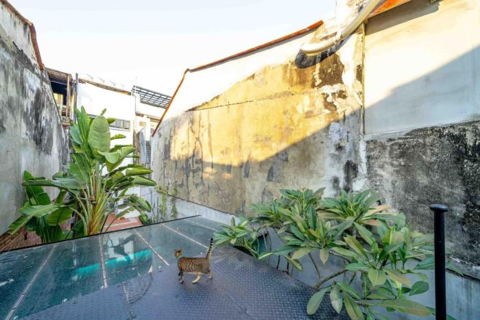 local backpacker hostel