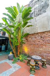 local backpacker hostel